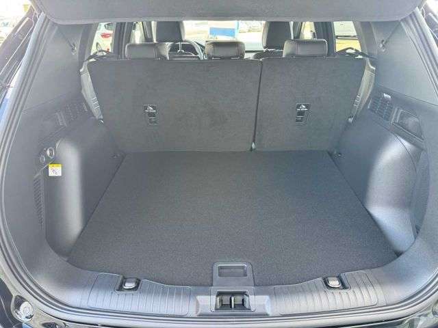 Fahrzeugbild eines Ford Kuga