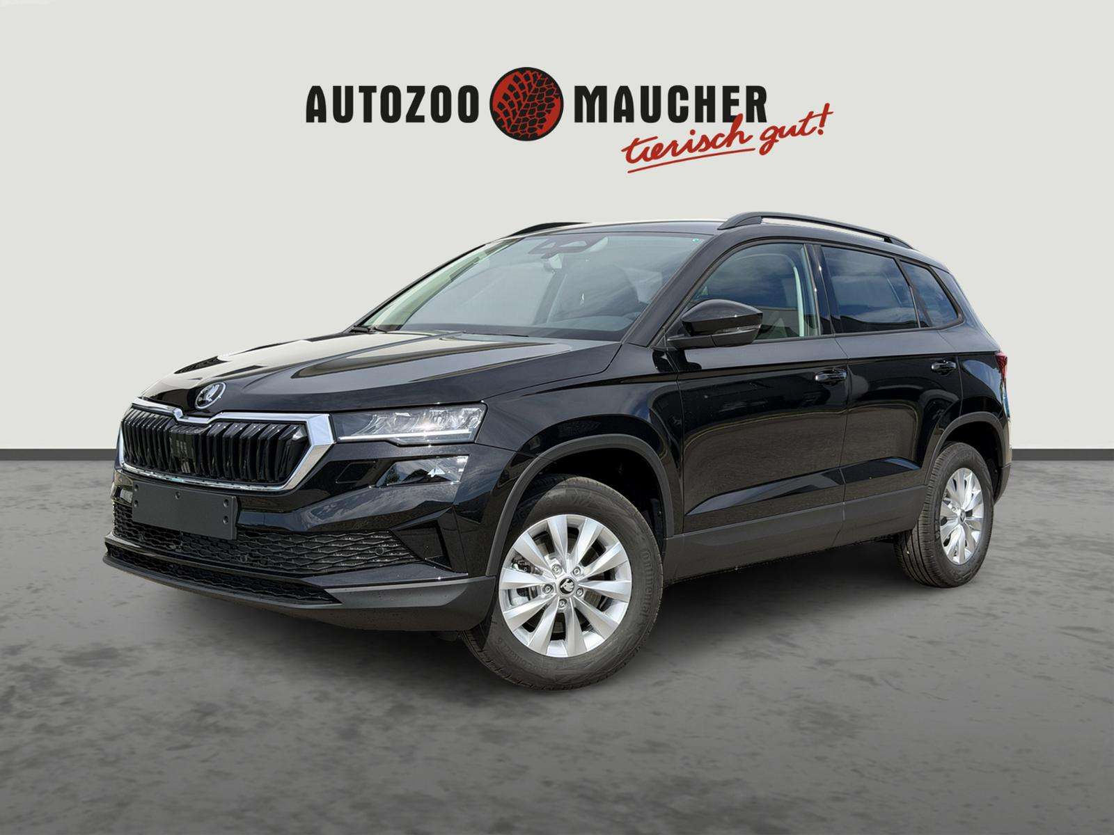 Fahrzeugbild eines Skoda Karoq