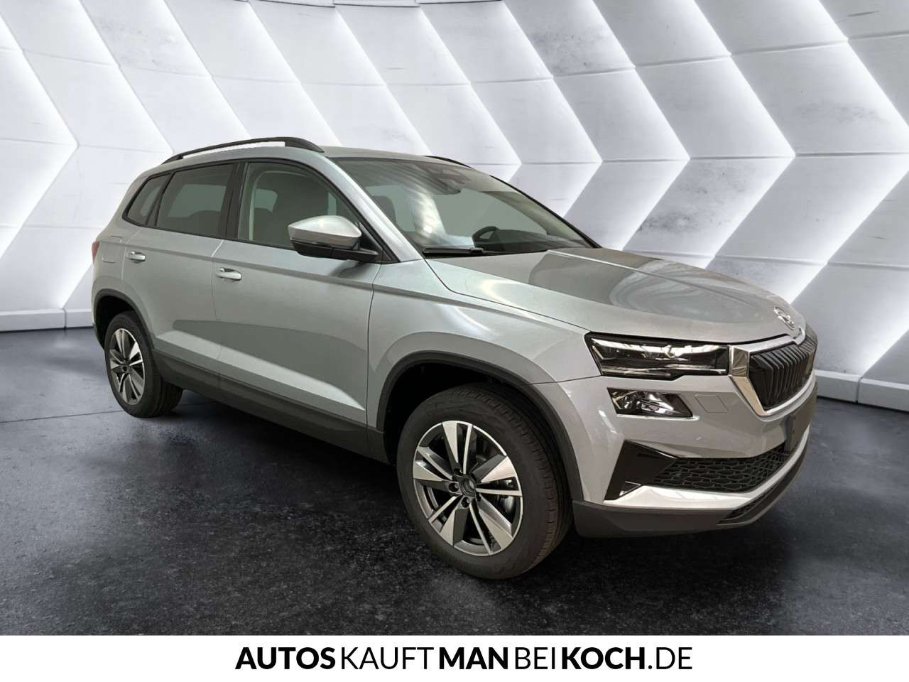 Fahrzeugbild eines Skoda Karoq