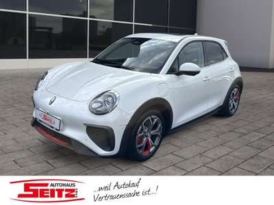 Bild GWM Ora 03
