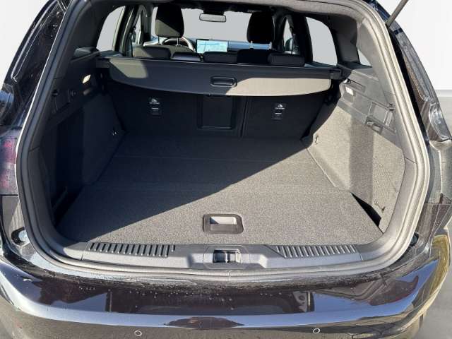 Fahrzeugbild eines Ford Focus