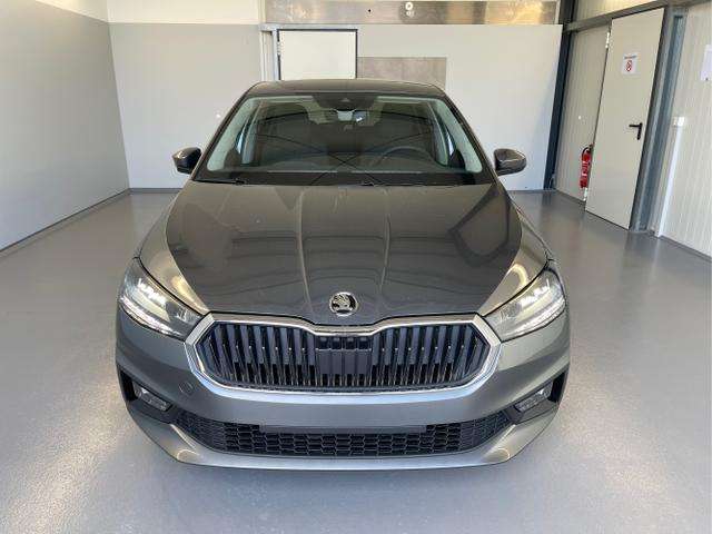Fahrzeugbild eines Skoda Fabia