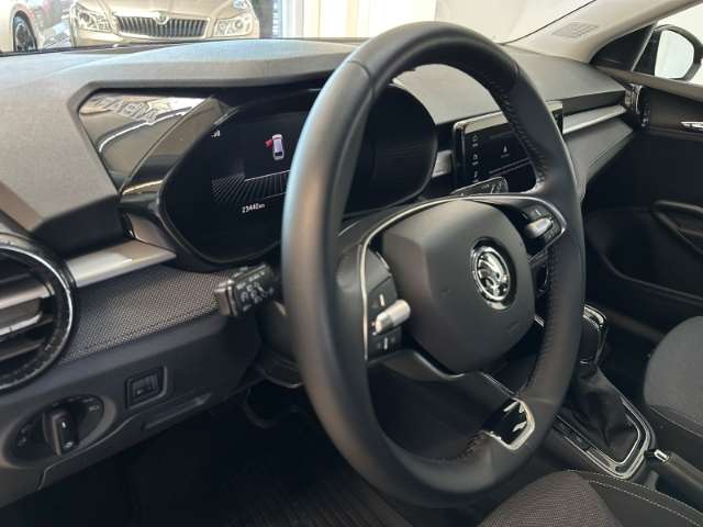 Fahrzeugbild eines Skoda Fabia