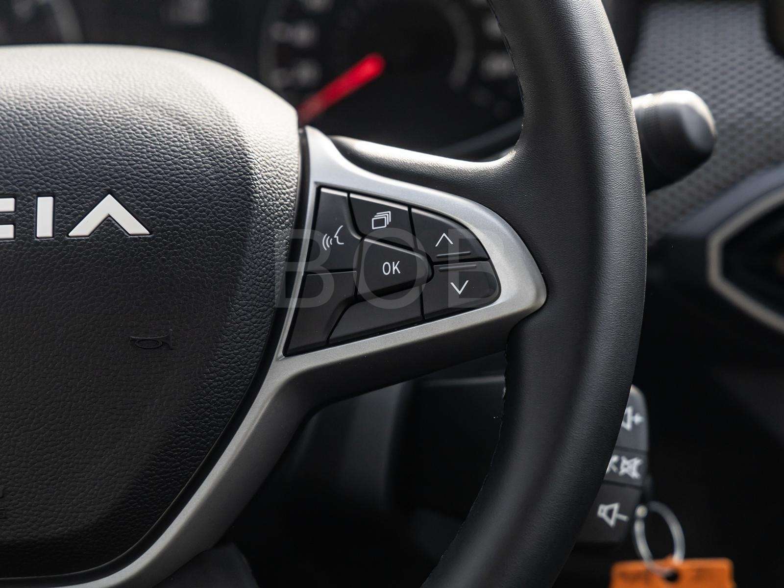 Fahrzeugbild eines Dacia Sandero