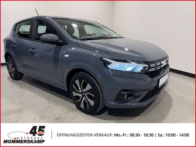 Fahrzeugbild eines Dacia Sandero