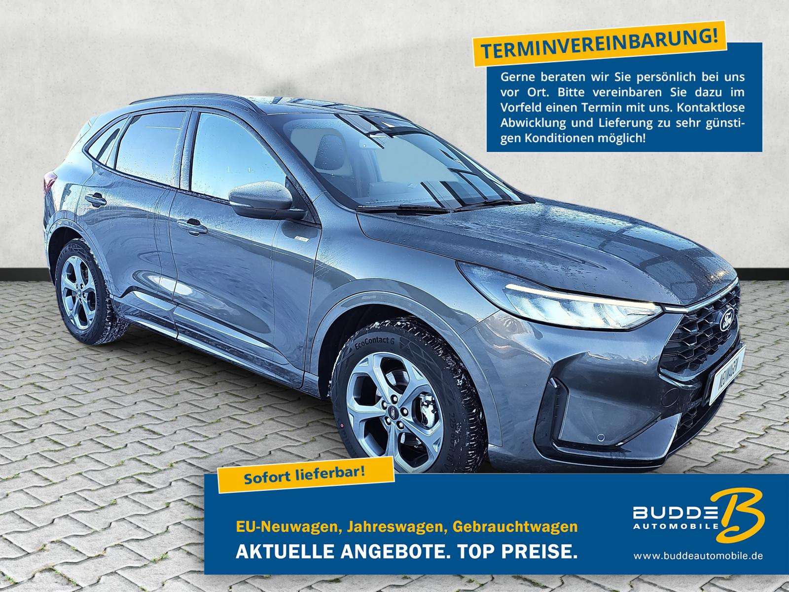 Fahrzeugbild eines Ford Kuga