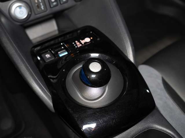 Fahrzeugbild eines Nissan Leaf