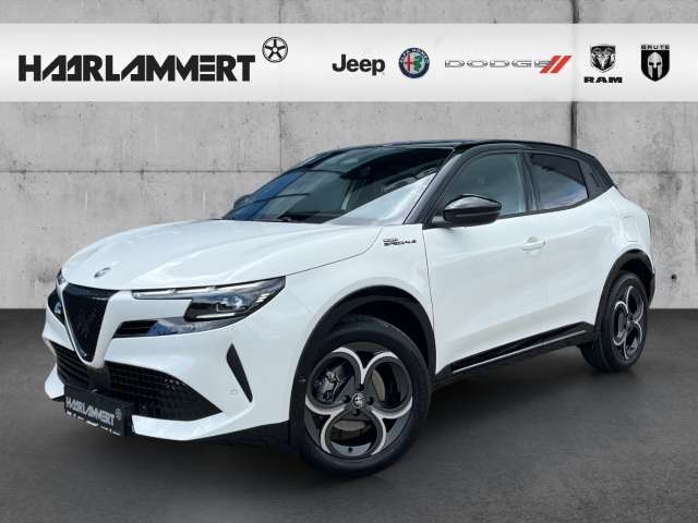 Fahrzeugbild eines Alfa Romeo Junior