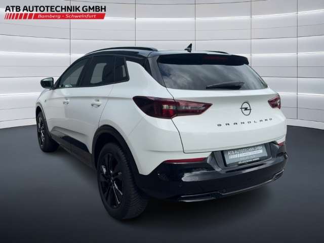 Fahrzeugbild eines Opel Grandland X