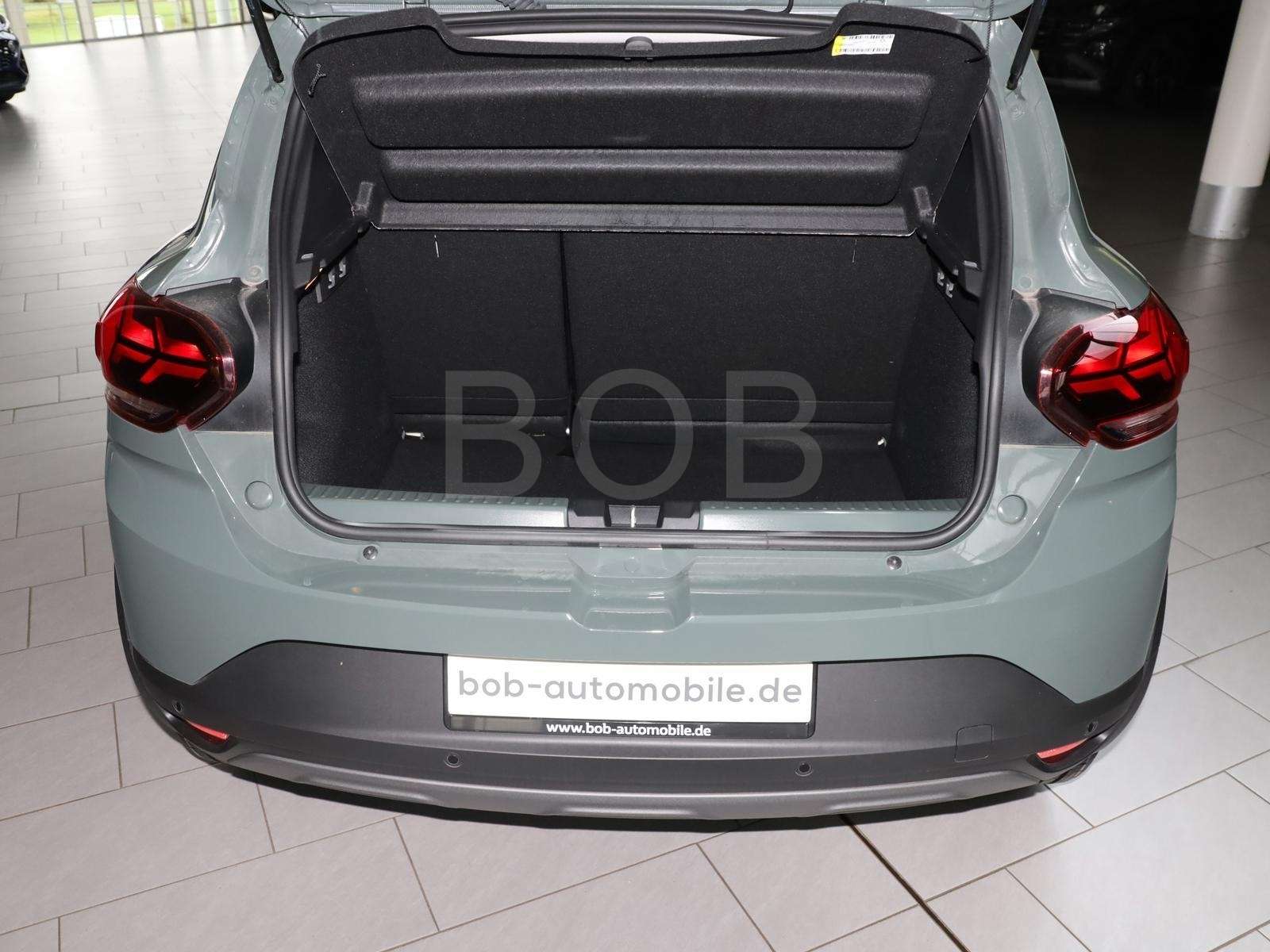 Fahrzeugbild eines Dacia Sandero