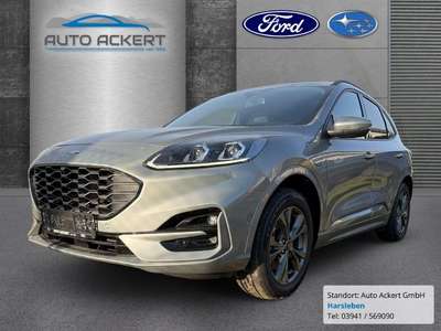 Bild Ford Kuga
