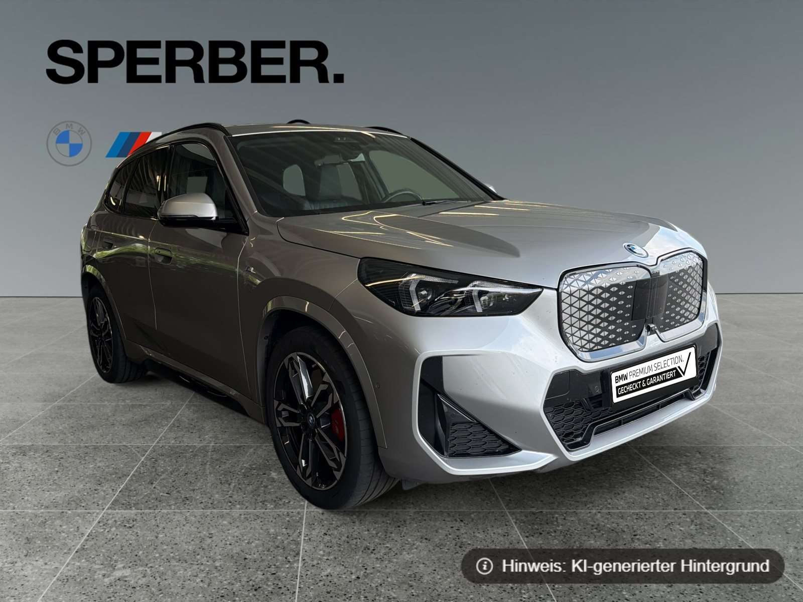 Fahrzeugbild eines BMW iX1