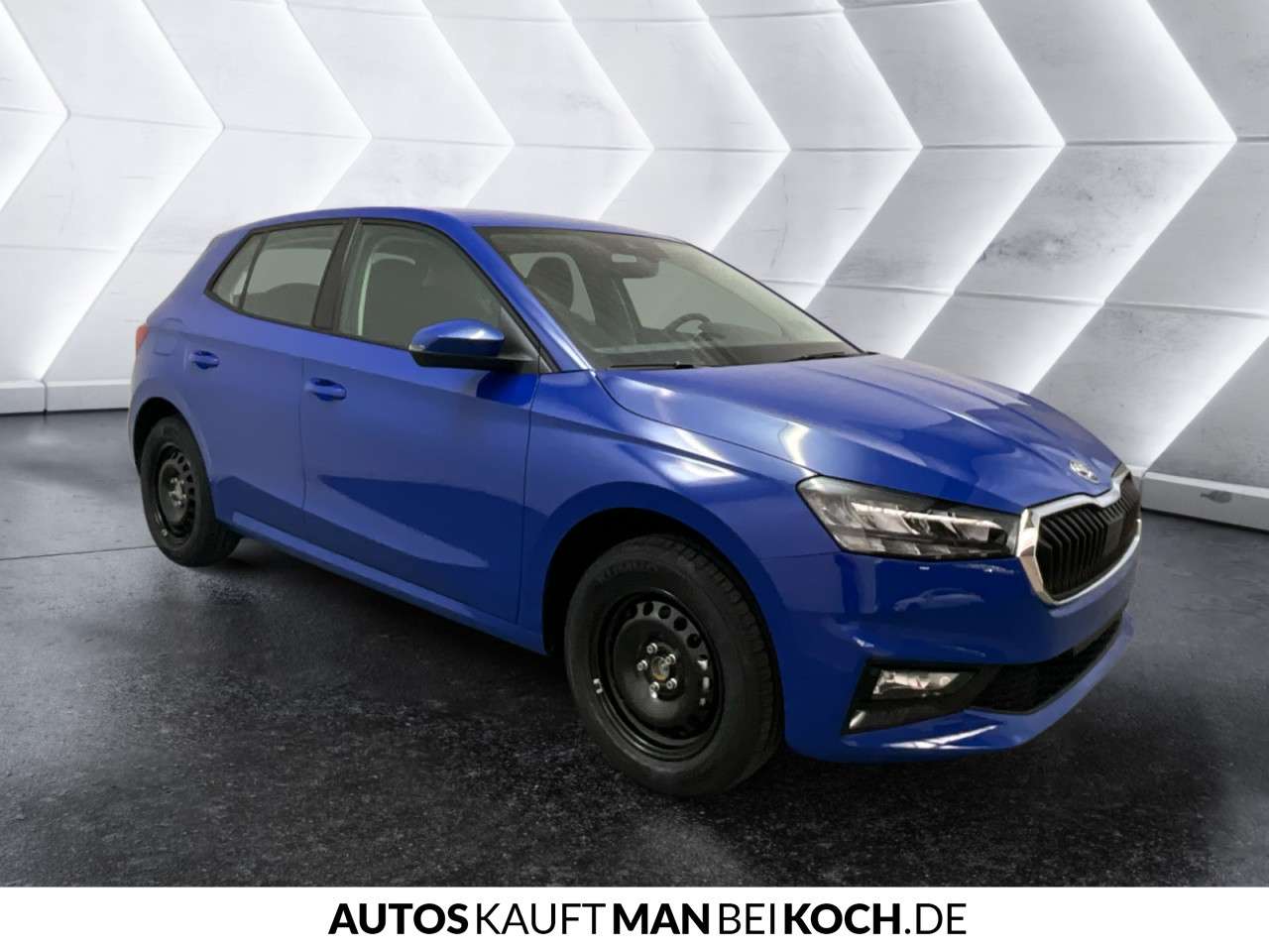 Fahrzeugbild eines Skoda Fabia