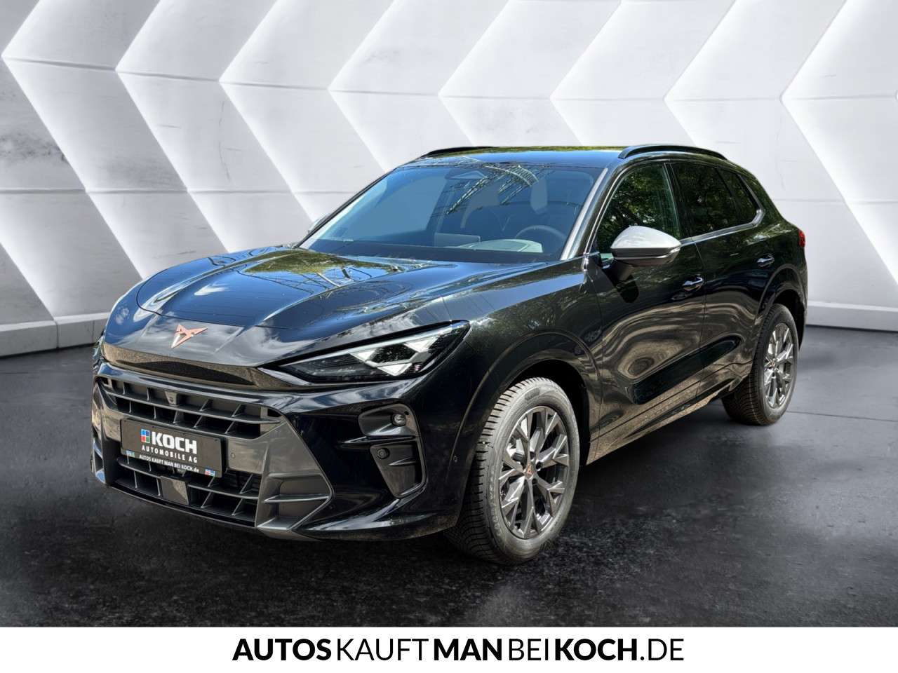Fahrzeugbild eines CUPRA Terramar