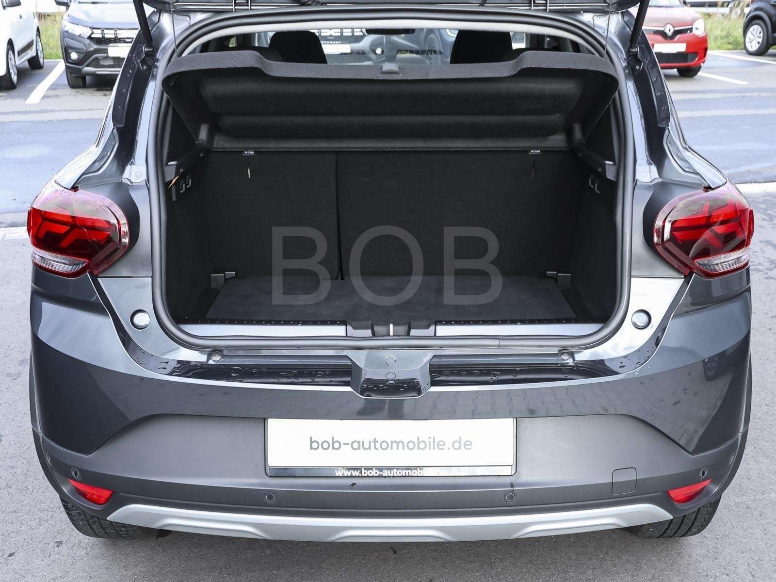 Fahrzeugbild eines Dacia Sandero