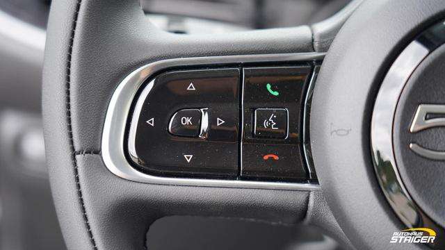 Fahrzeugbild eines Fiat 500