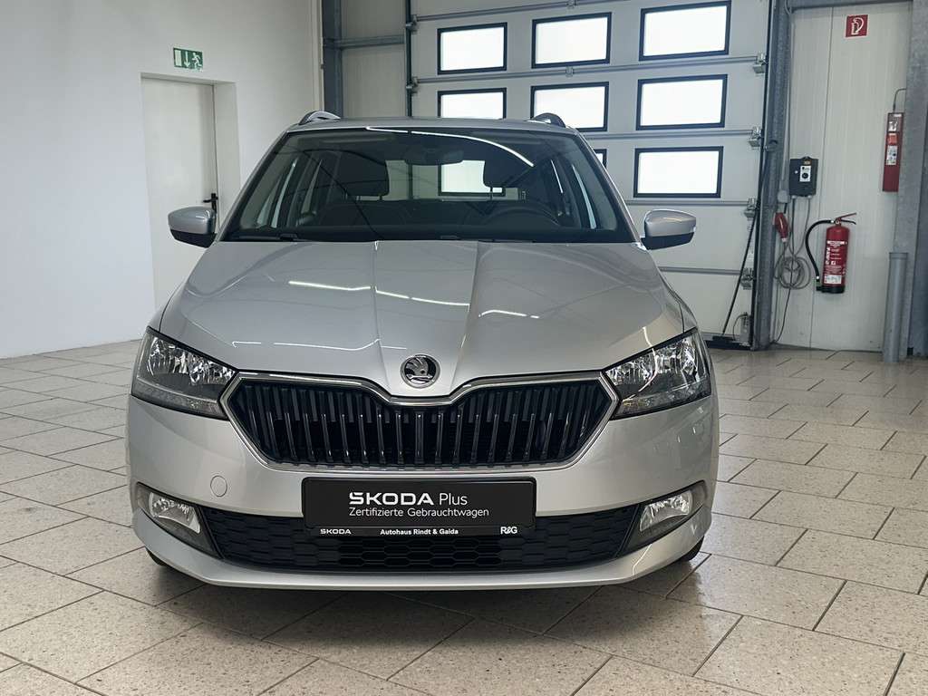 Fahrzeugbild eines Skoda Fabia