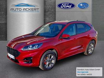 Bild Ford Kuga