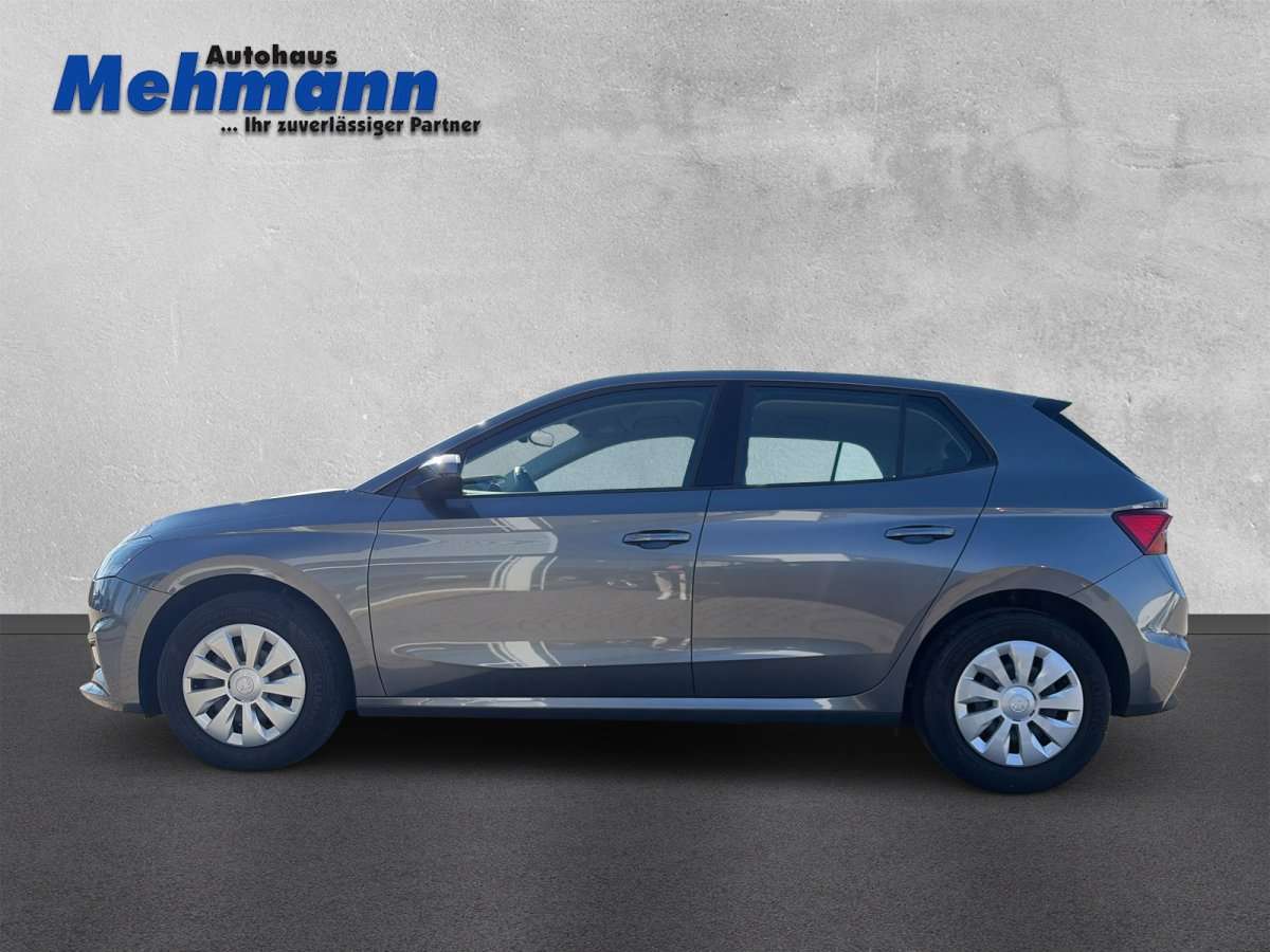 Fahrzeugbild eines Skoda Fabia