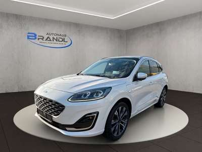 Bild Ford Kuga
