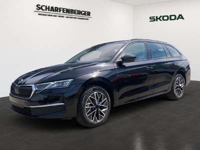 Bild Skoda Octavia