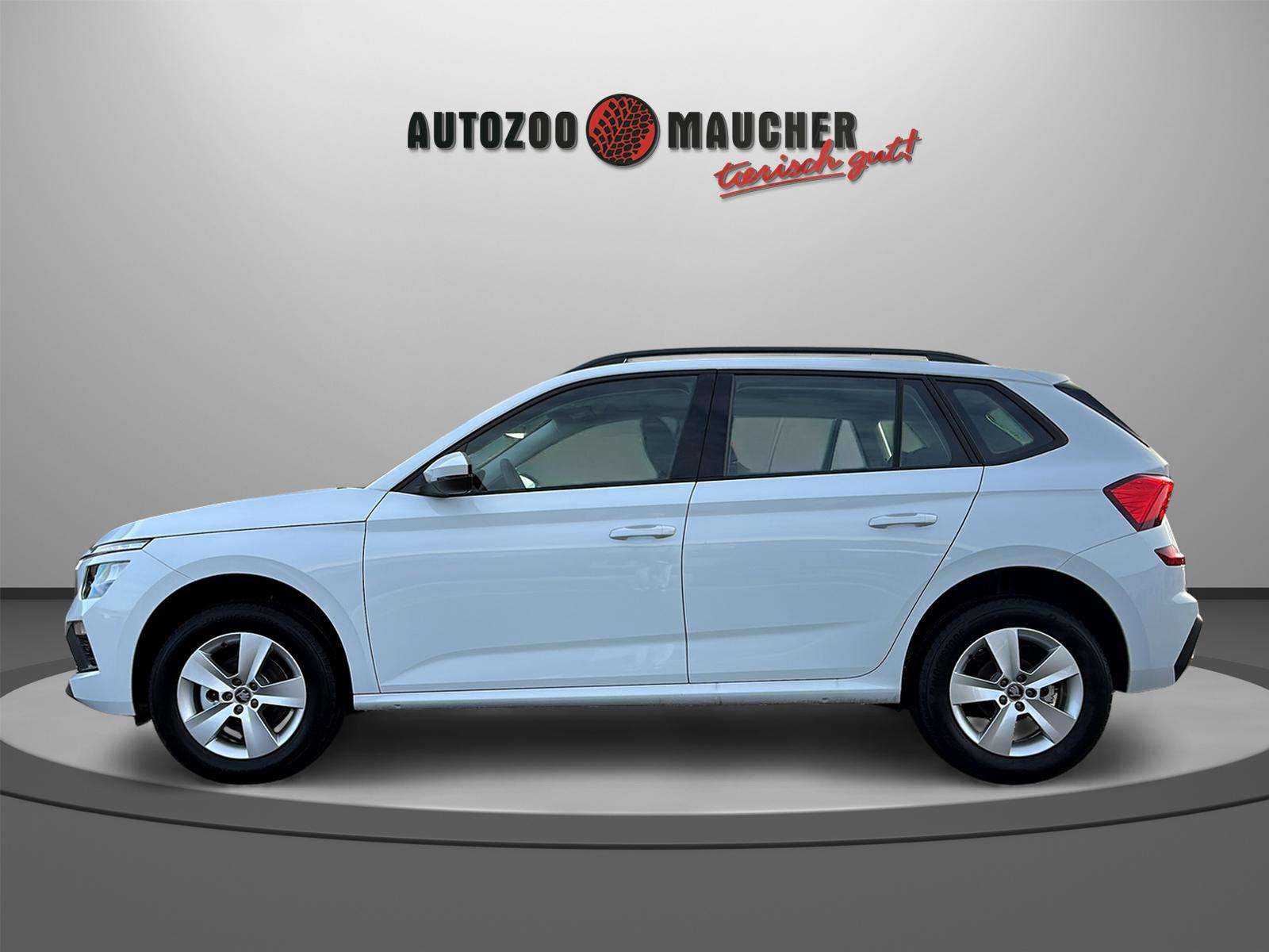 Fahrzeugbild eines Skoda Kamiq