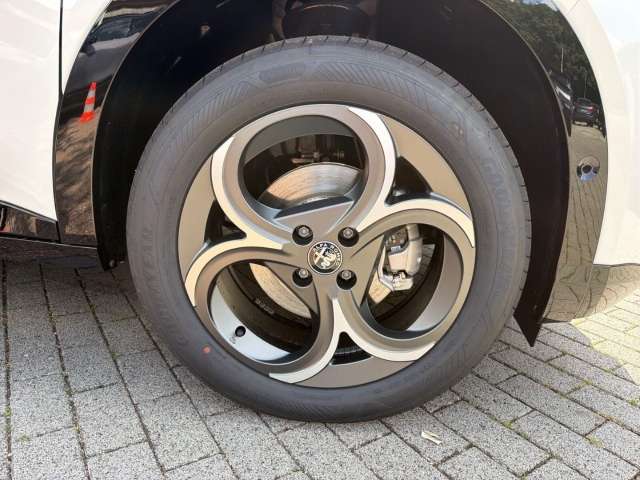 Fahrzeugbild eines Alfa Romeo Junior