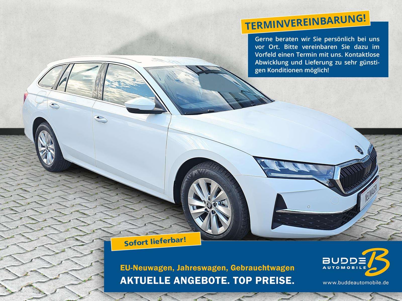Fahrzeugbild eines Skoda Octavia