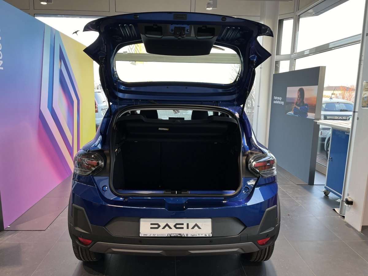 Fahrzeugbild eines Dacia Sandero