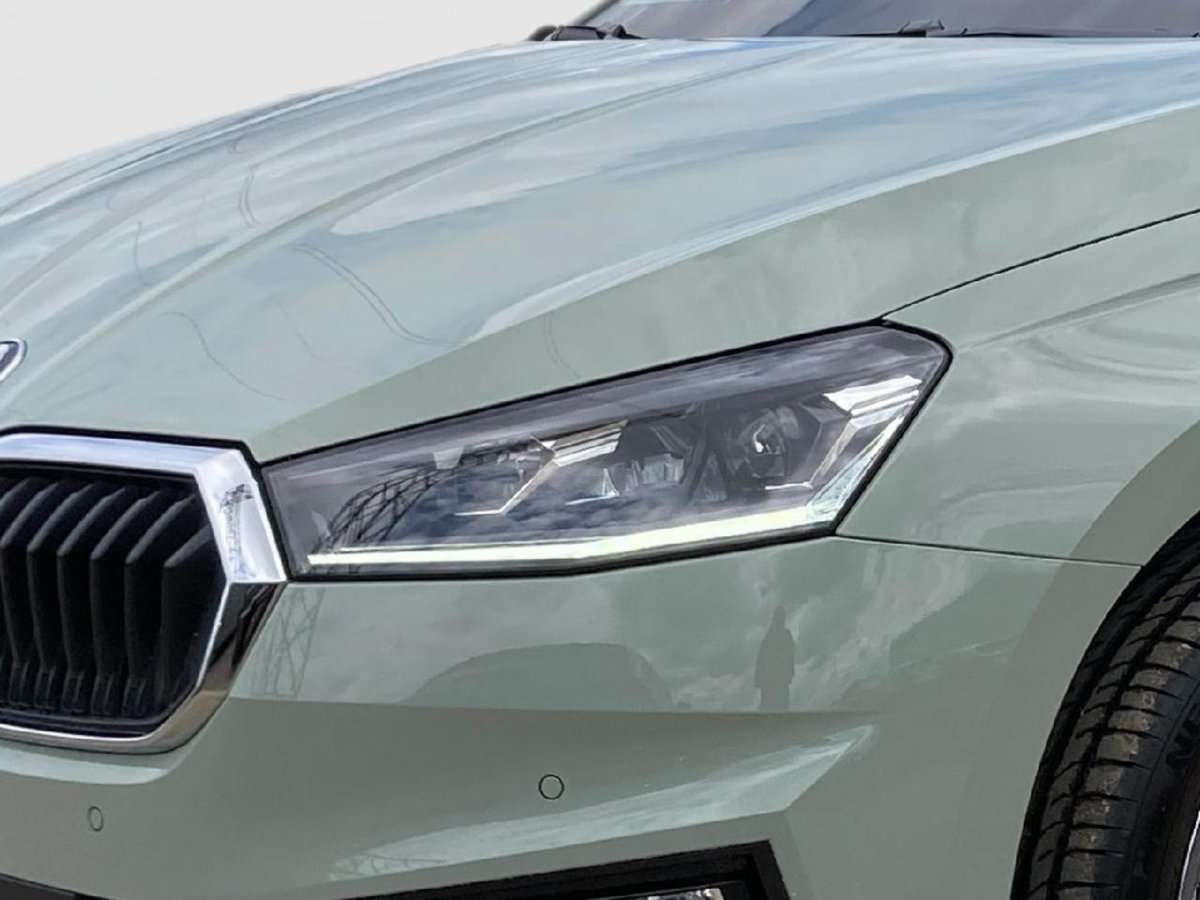Fahrzeugbild eines Skoda Fabia