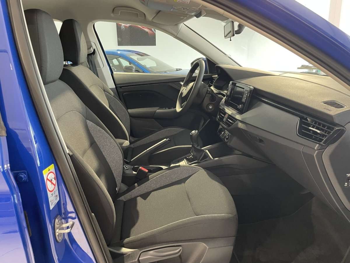 Fahrzeugbild eines Skoda Kamiq