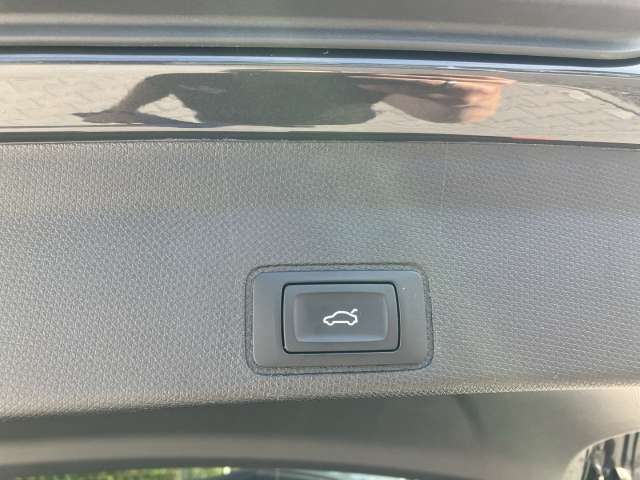 Fahrzeugbild eines CUPRA Terramar