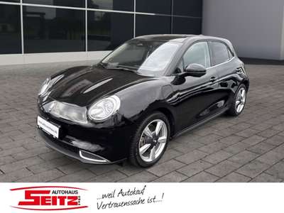 Bild GWM Ora 03