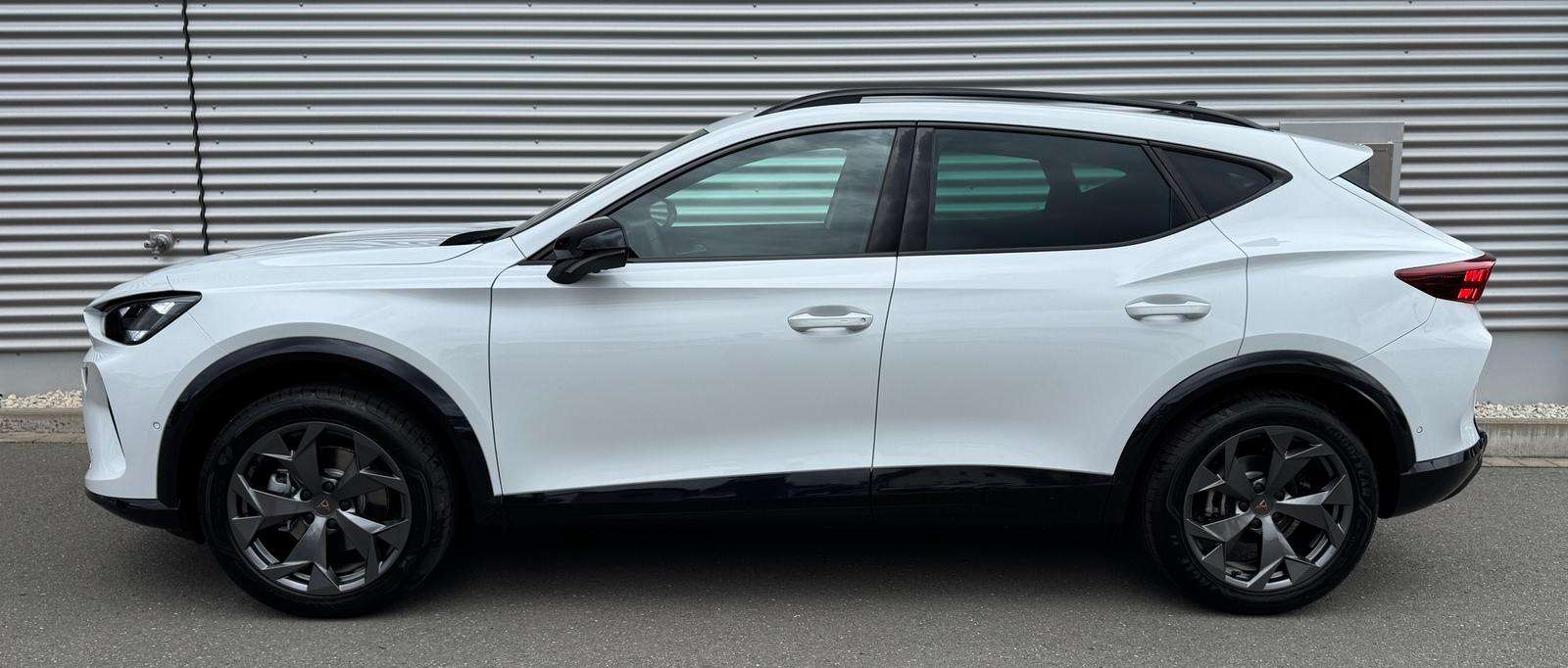 Fahrzeugbild eines CUPRA Formentor