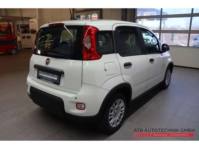 Fahrzeugbild eines Fiat Panda