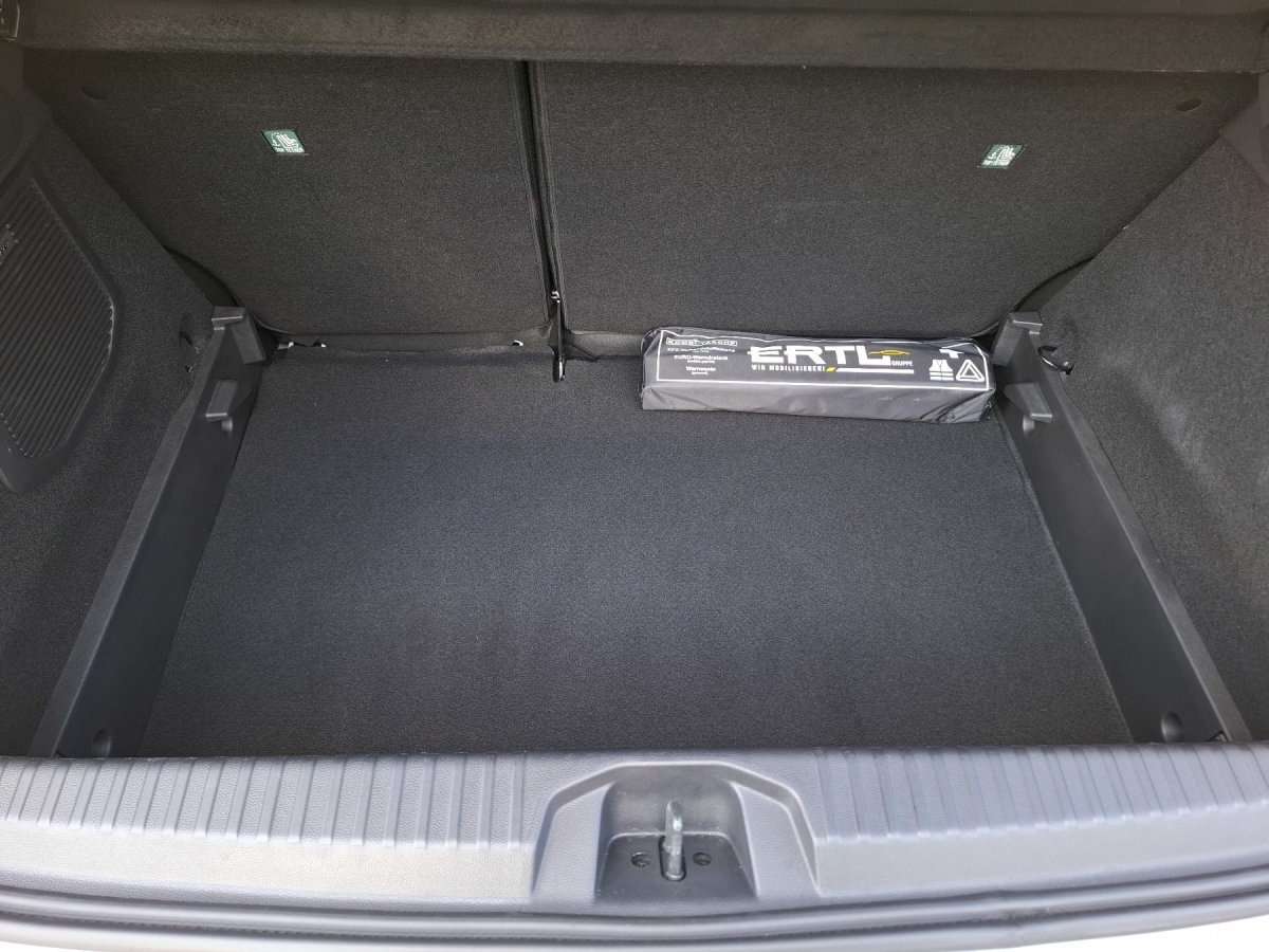 Fahrzeugbild eines Renault Clio