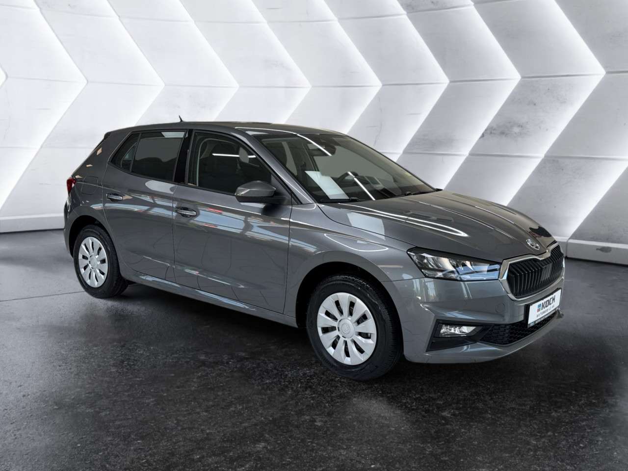 Fahrzeugbild eines Skoda Fabia