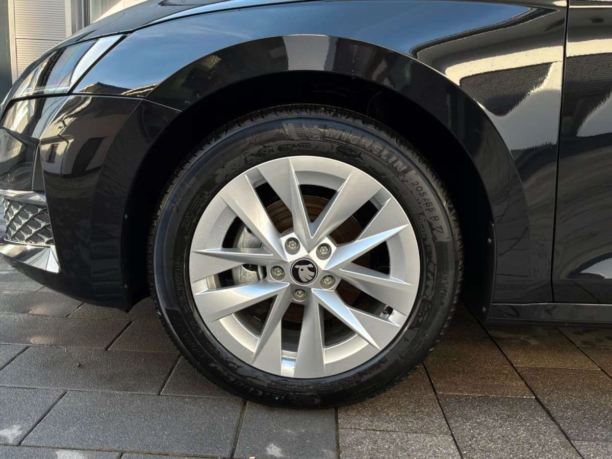 Fahrzeugbild eines Skoda Octavia