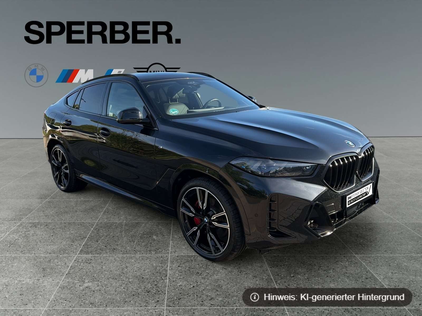 Fahrzeugbild eines BMW X6