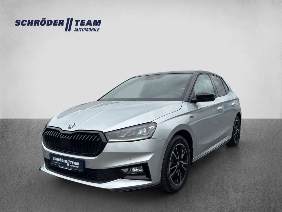 Fahrzeugbild eines Skoda Fabia