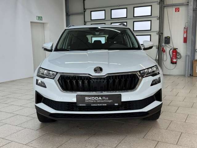 Fahrzeugbild eines Skoda Karoq