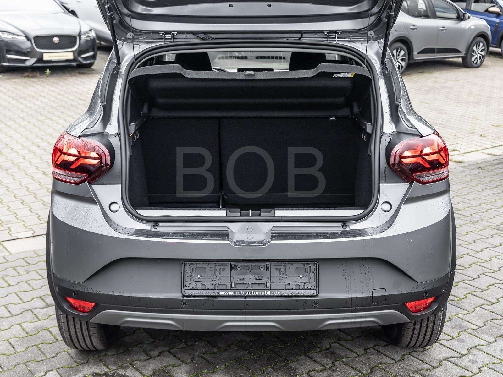 Fahrzeugbild eines Dacia Sandero