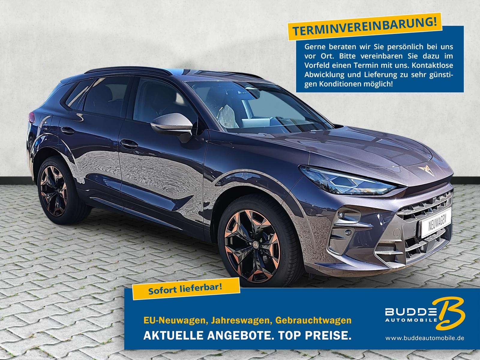 Fahrzeugbild eines CUPRA Terramar