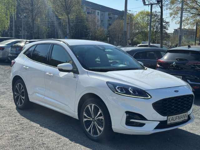 Fahrzeugbild eines Ford Kuga