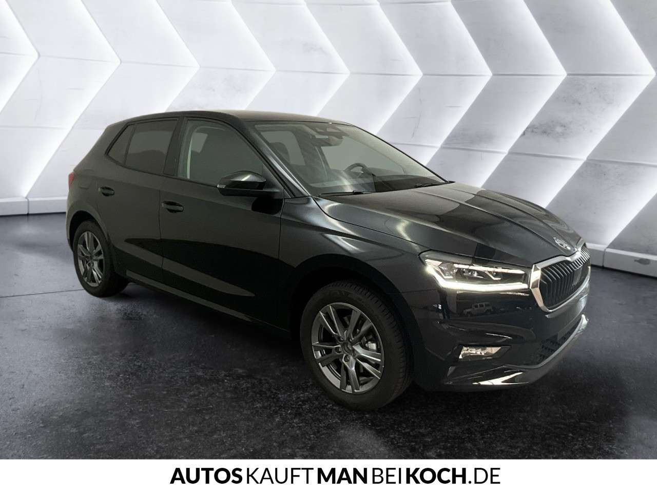 Fahrzeugbild eines Skoda Fabia