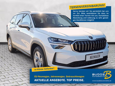Bild Skoda Kodiaq