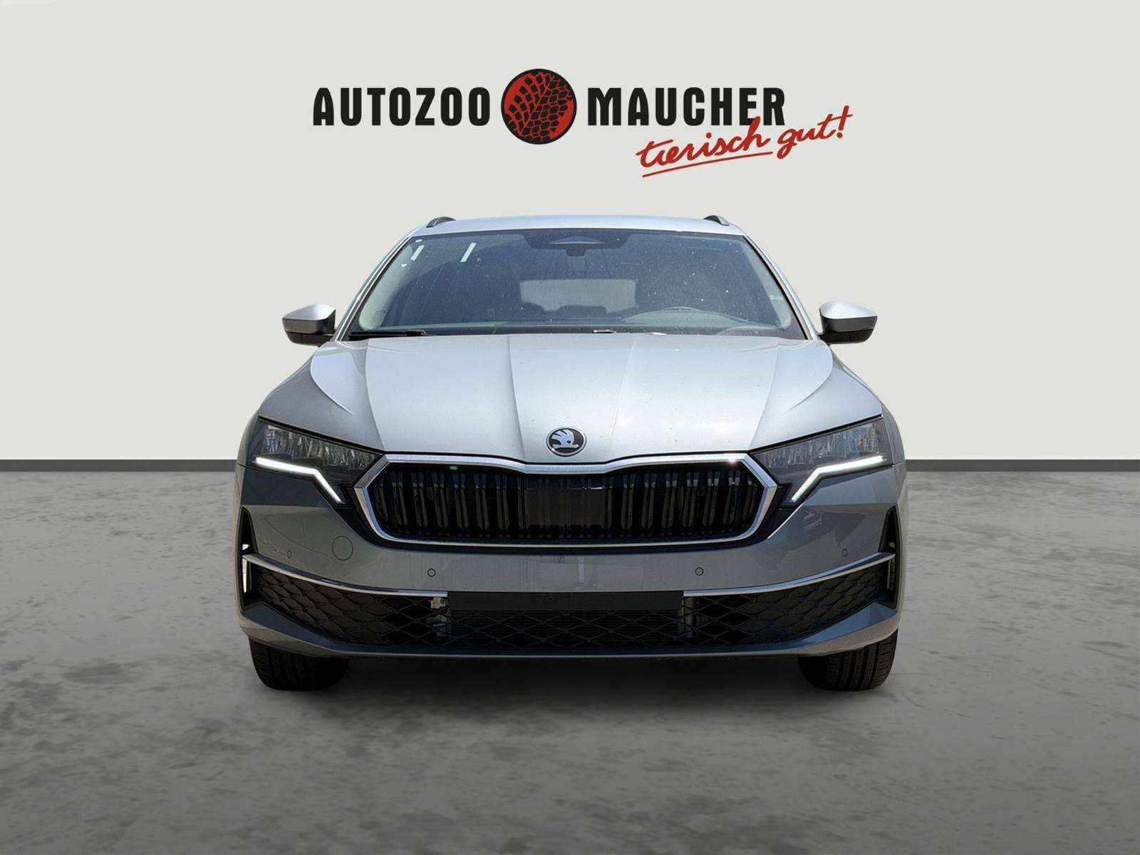 Fahrzeugbild eines Skoda Octavia