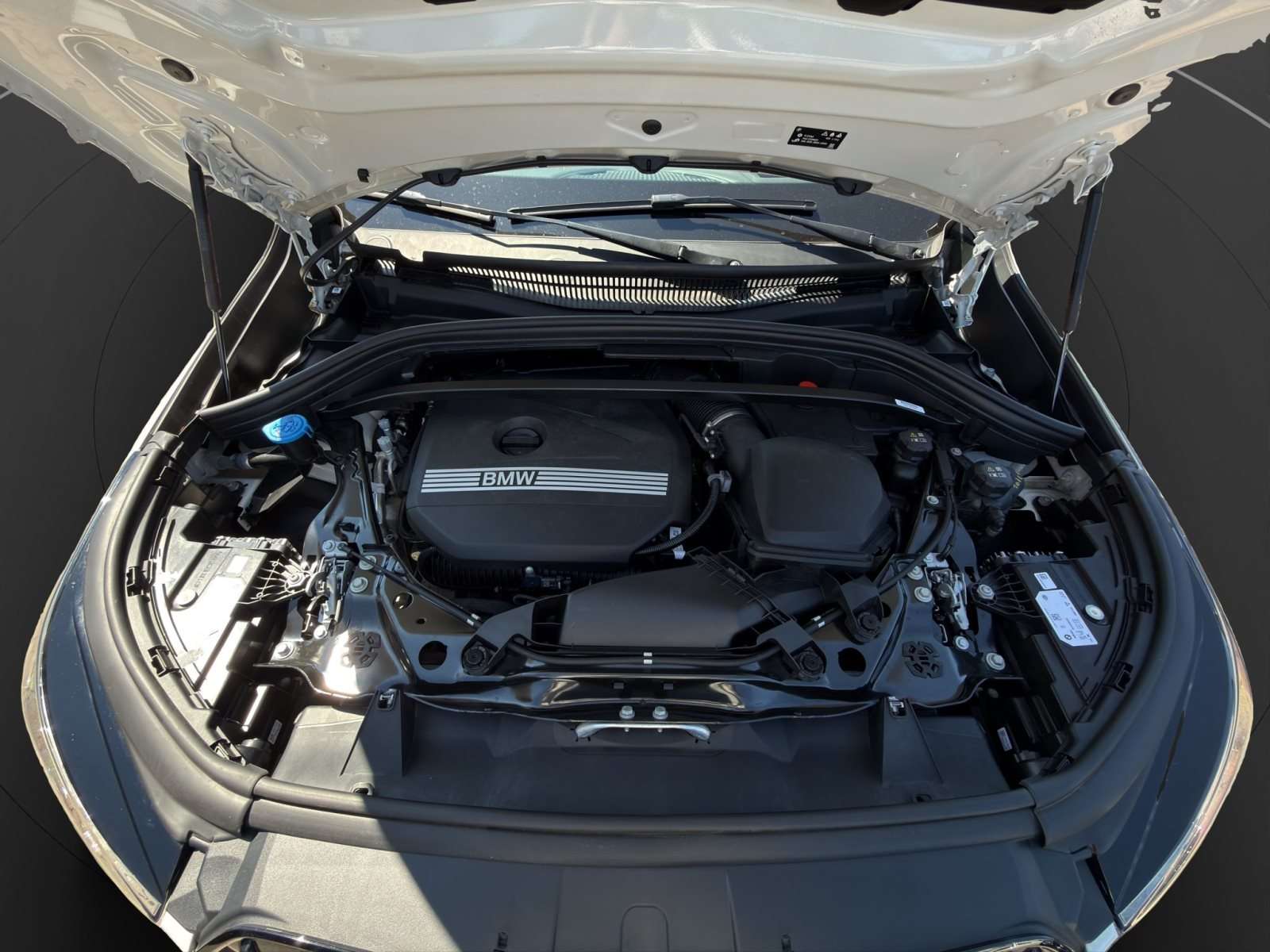 Fahrzeugbild eines BMW X1