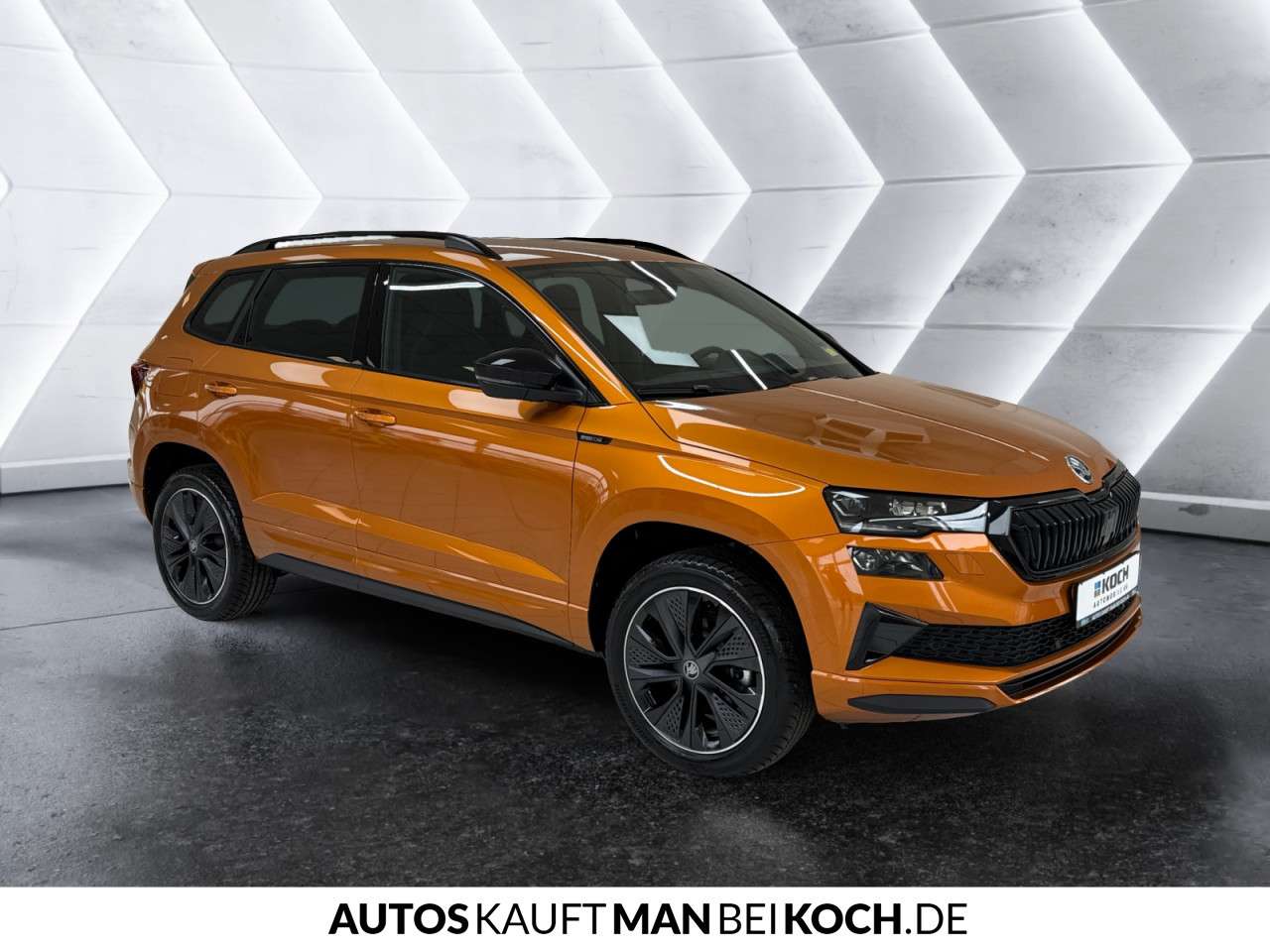 Fahrzeugbild eines Skoda Karoq