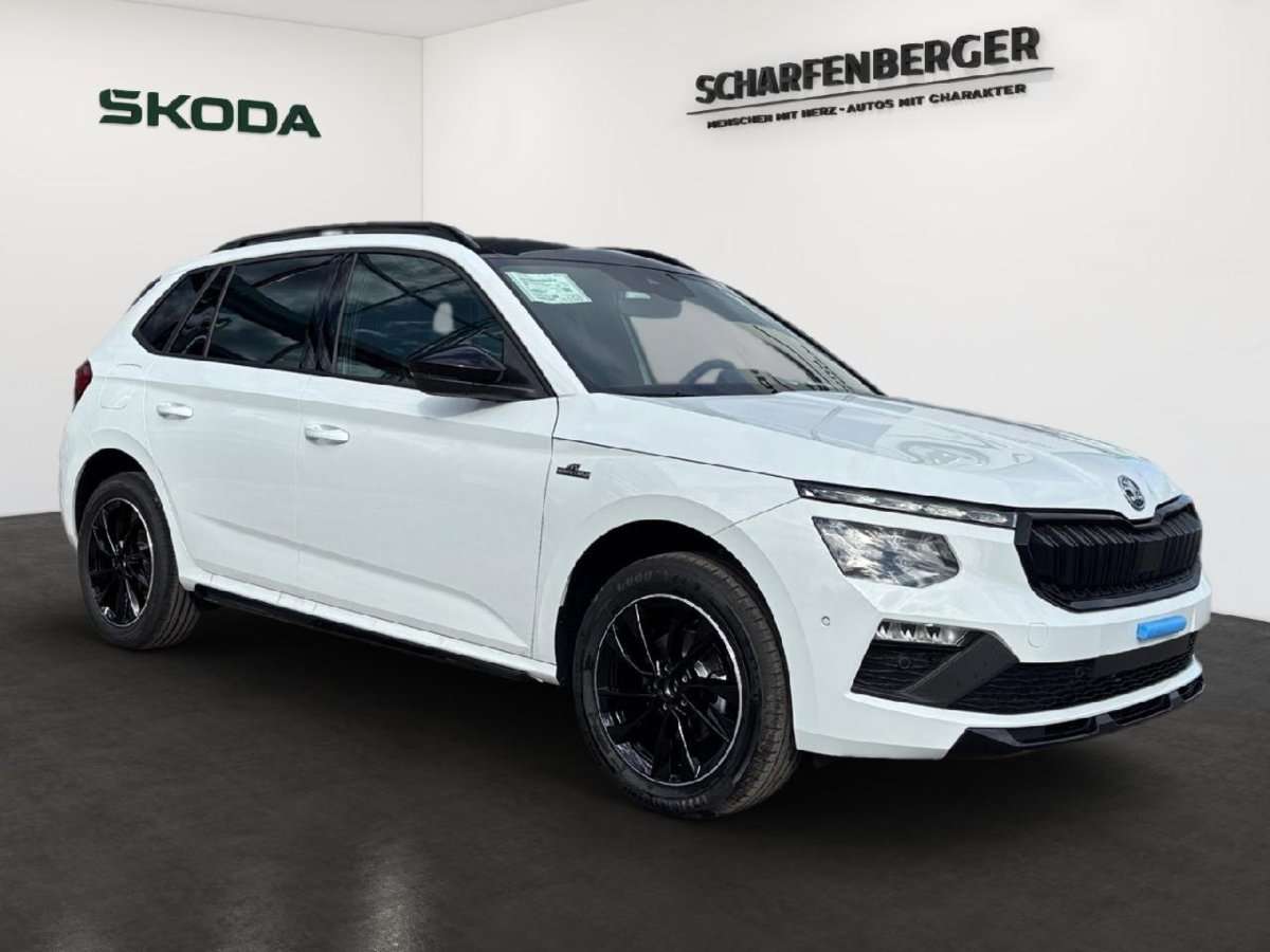 Fahrzeugbild eines Skoda Kamiq